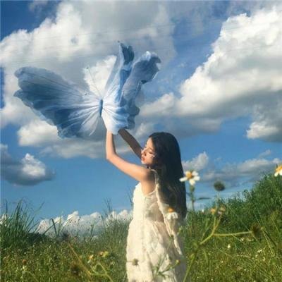 蝴蝶粤语
